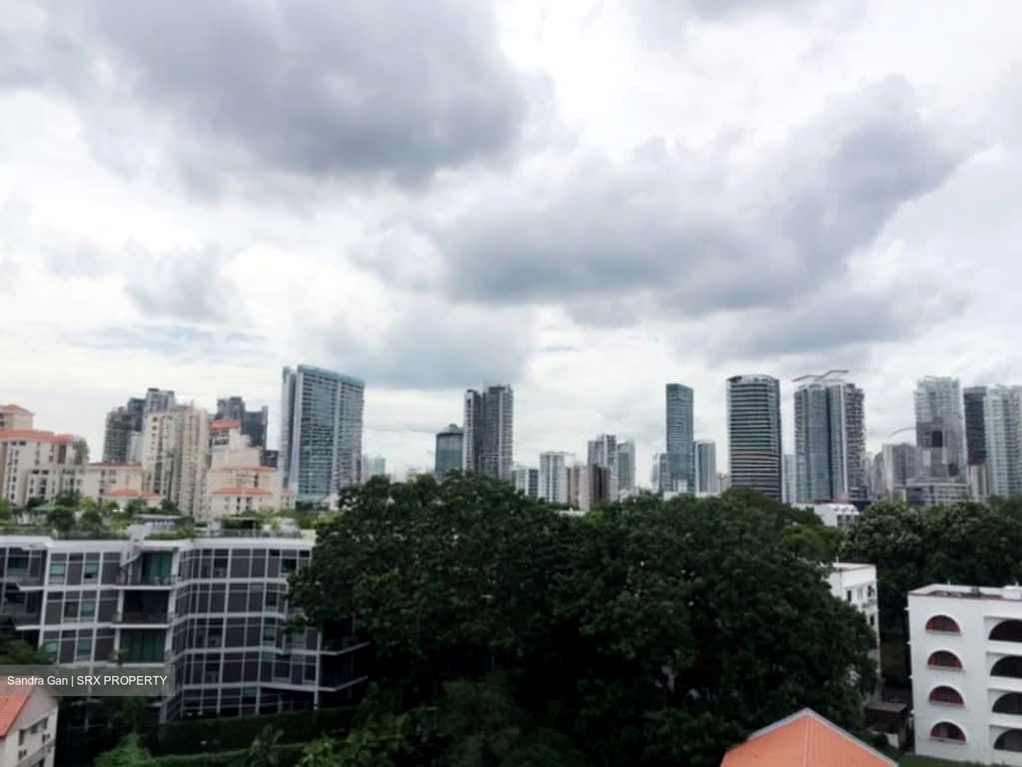 The Rise @ Oxley - Residences (D9), Apartment #574485591